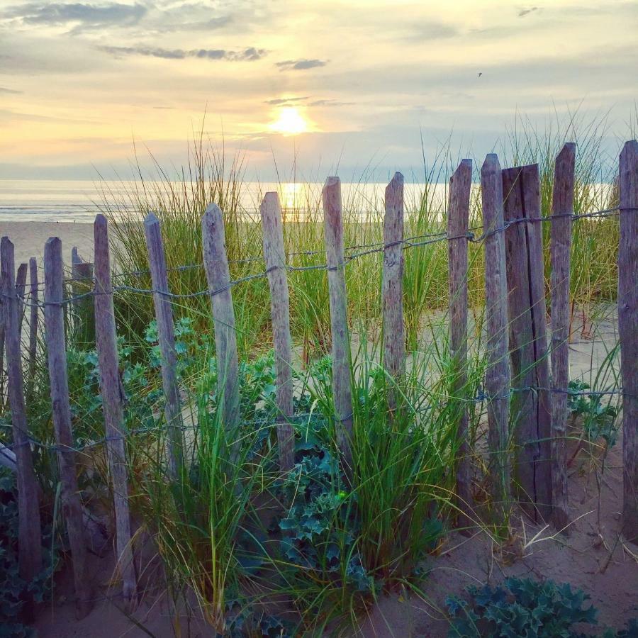 Achter De Duinen Apartment ซานด์โวร์ต ภายนอก รูปภาพ